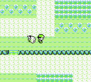 Pokemon_Gelbe_Edition_13