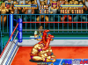 3-count-bout_06