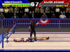 Wrestlemania_6