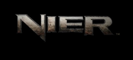 nier_logo.jpg nier_logo.jpg