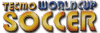 Tecmo-World-Cup-Soccer-logo.gif