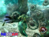 Otogi-Myth-of-Demons-4.jpg