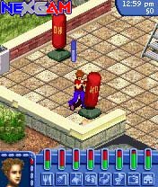 Die-Sims-brechen-aus-4.jpg Die-Sims-brechen-aus-4.jpg