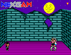 Alex-Kidd-in-Shinobi-World-6.gif