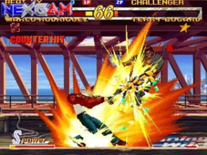 Garou-Mark-of-the-Wolves-small-PS2-small-4.jpg