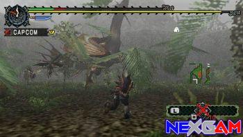 Monster-Hunter-Freedom-8.jpg Monster-Hunter-Freedom-8.jpg