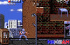 Ninja-Gaiden-small-Screenshots-small-3.jpg