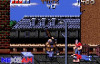 Ninja-Gaiden-small-Screenshots-small-6.jpg