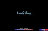 Lady-Bug-1.jpg