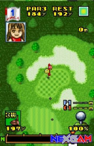 Wonder-Classic-16.jpg
