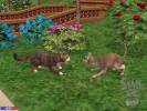 Die-Sims-2-Haustiere-4.jpg Die-Sims-2-Haustiere-4.jpg