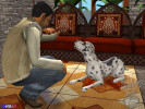 Die-Sims-2-Haustiere-5.jpg
