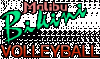 Malibu-Bikini-Volleyball-logo.gif