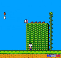 Super-Mario-Bros-2-3.jpg