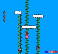 Super-Mario-Bros-2-5.jpg