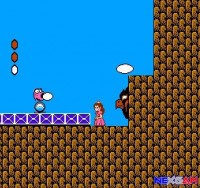 Super-Mario-Bros-2-6.jpg