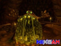 Conker-s-Bad-Fur-Day-1.jpg