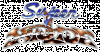 Super-Hydlide-logo.gif