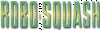 Robo-Squash-logo.gif