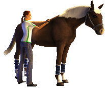 Riding-Star-3-1.gif