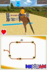 Riding-Star-3-3.jpg