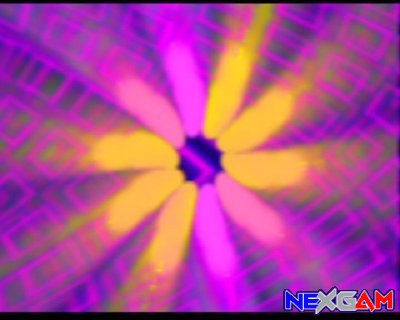 NUON-Special-11.jpg