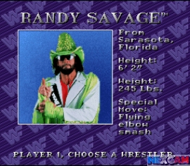 WWF-Royal-Rumble-1.jpg WWF-Royal-Rumble-1.jpg