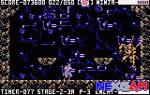 Ninja-Gaiden-III-10.jpg