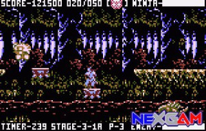 Ninja-Gaiden-III-12.jpg