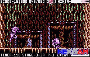 Ninja-Gaiden-III-14.jpg