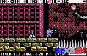 Ninja-Gaiden-III-16.jpg
