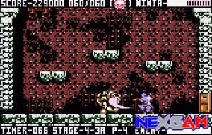 Ninja-Gaiden-III-17.jpg