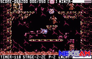 Ninja-Gaiden-III-9.jpg