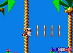 Sonic-Chaos-2.jpg