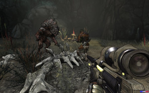 Borderlands-6.jpg