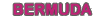 Bermuda-logo.gif