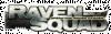 Raven-Squad-Operation-Hidden-Danger-logo.gif