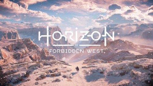 Horizon Forbidden West neXGam 65
