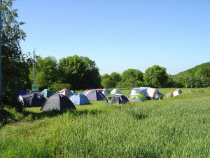 ZT2010-87.JPG ZT2010-87.JPG
