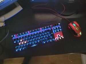 nexgam_speedlink_setup9