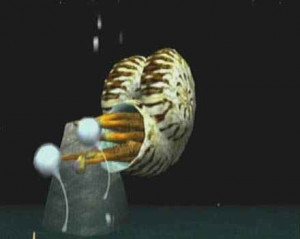 Seaman_04