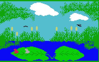 Frog Bog
