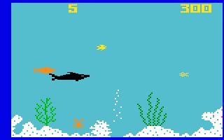 Shark! Shark!