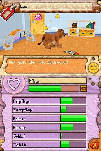 Baby Wildkatzen