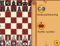 Schach & Matt