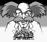 Mega Man IV