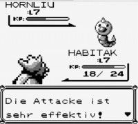 Pokemon_Blau_Rot_14