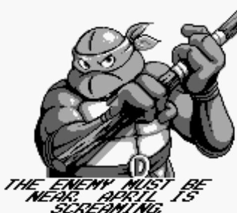 Teenage Mutant Hero Turtles- Fall of the Foot Clan