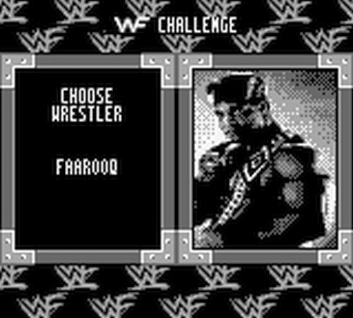 WWF War Zone