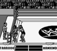 WWF_War_Zone_7
